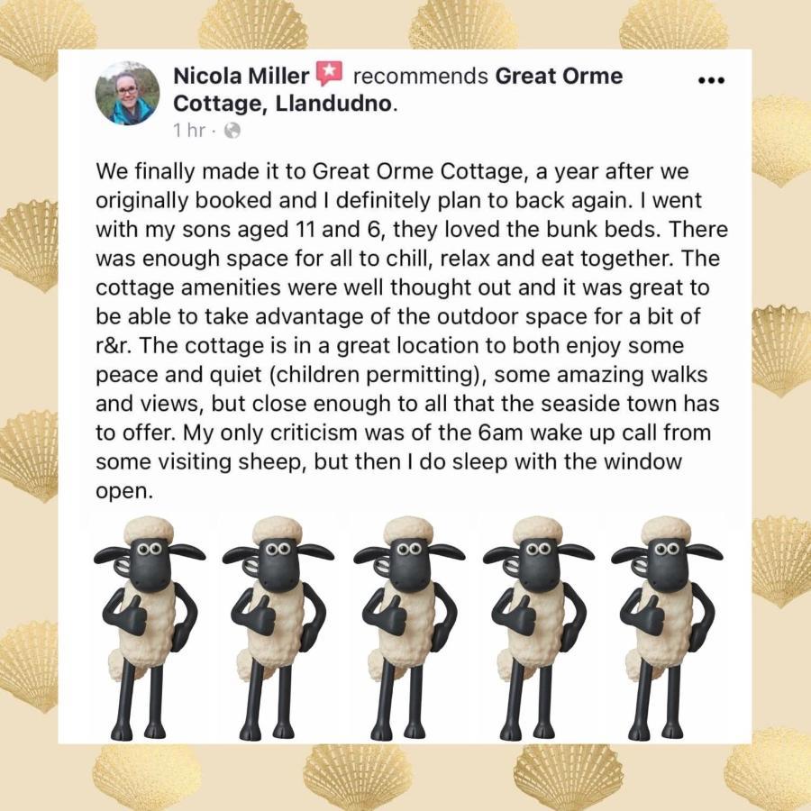Great Orme Cottage, The Great Orme, Llandudno Exteriör bild